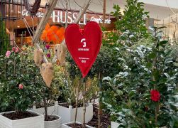 Fruehling In Jenas Goethe Galerie 2024 17